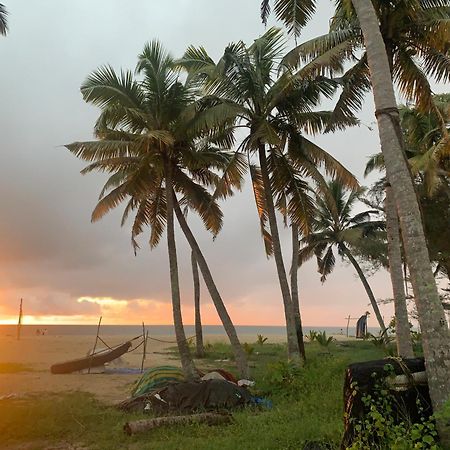 Shoreline Marari Beach Villa At Golden Beach Mararikulam Alappuzha Exterior foto